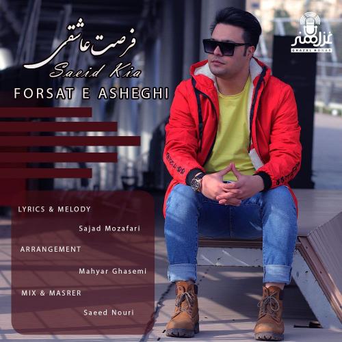 دانلود آهنگ فرصت عاشقی